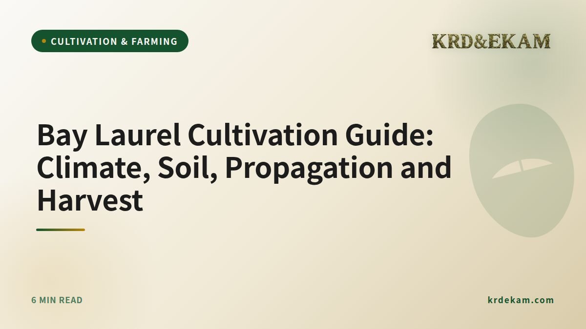 Bay Laurel Cultivation Guide: Climate, Soil, Propagation and Harvest
